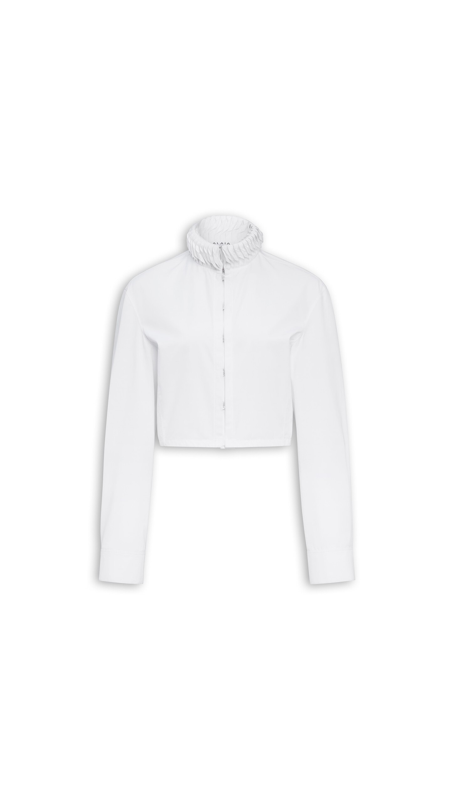 DAM_BGRD_0009 image number 0