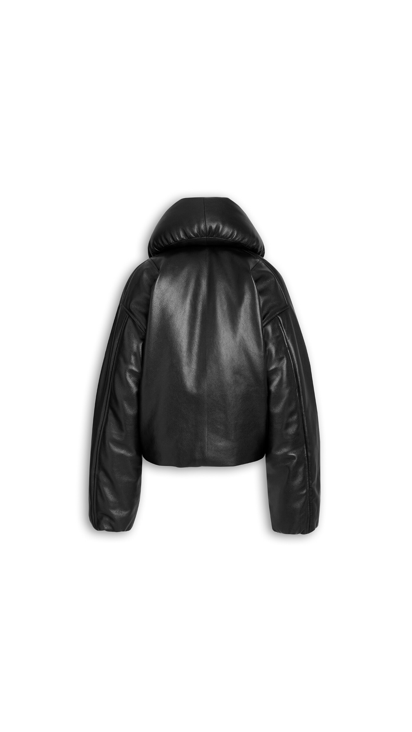 DAM_BGRD_0009 image number 4