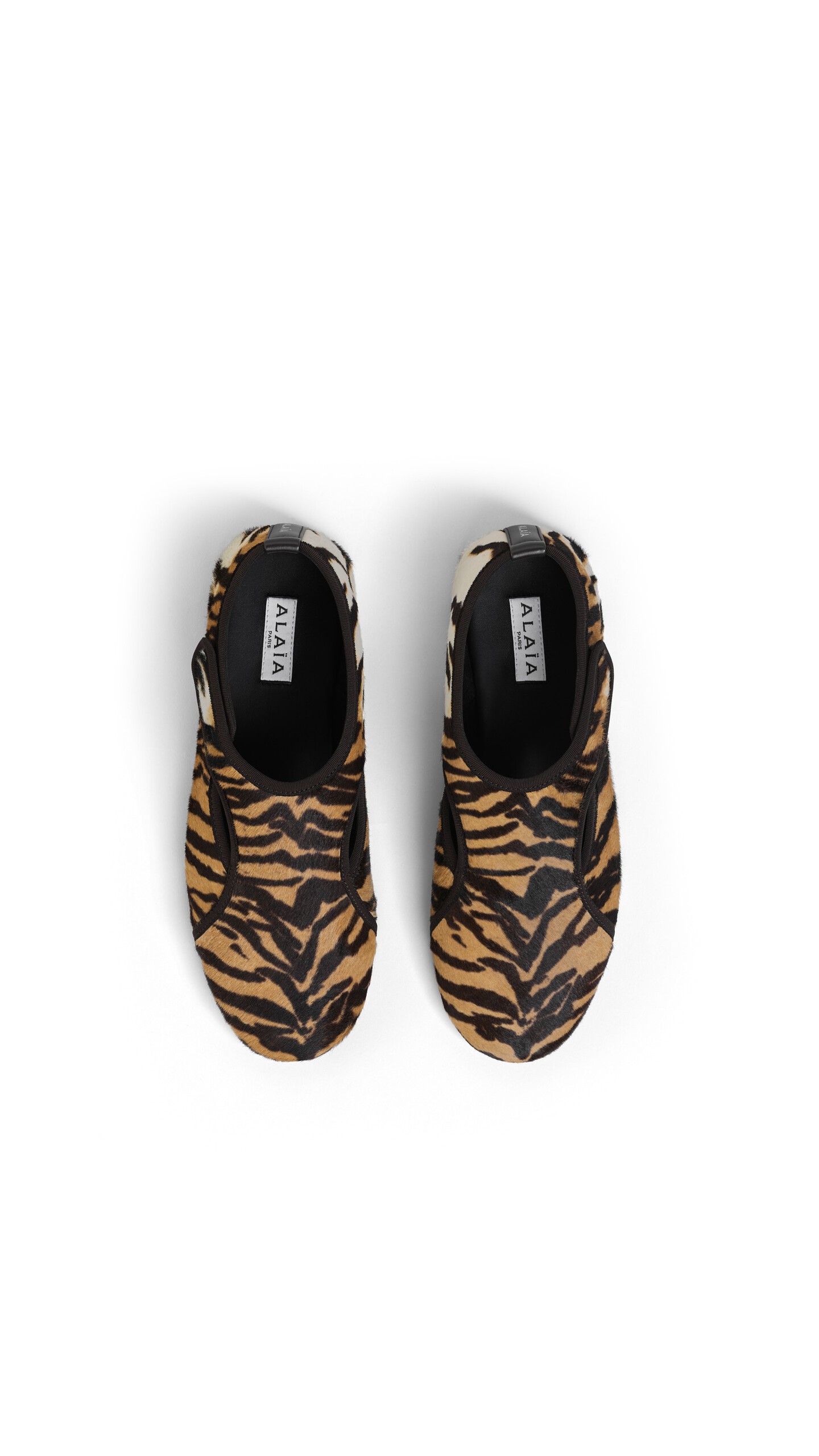 DAM_BGRD_0009 image number 3