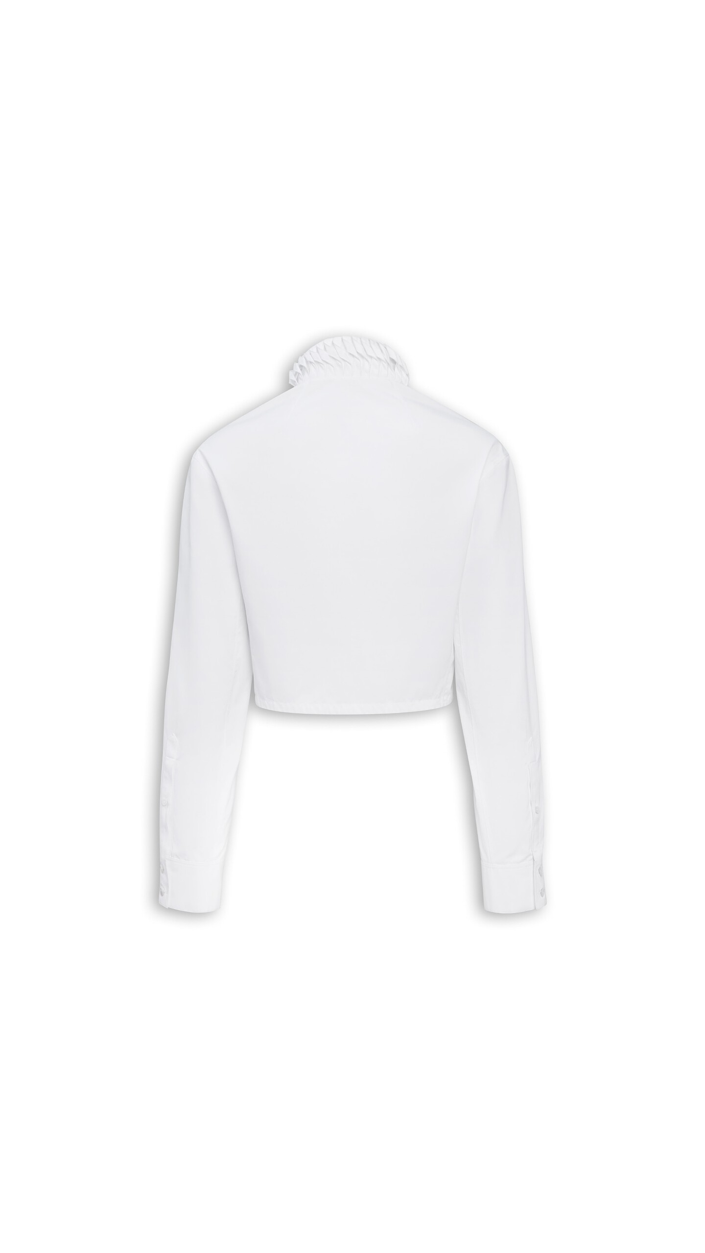 DAM_BGRD_0009 image number 4