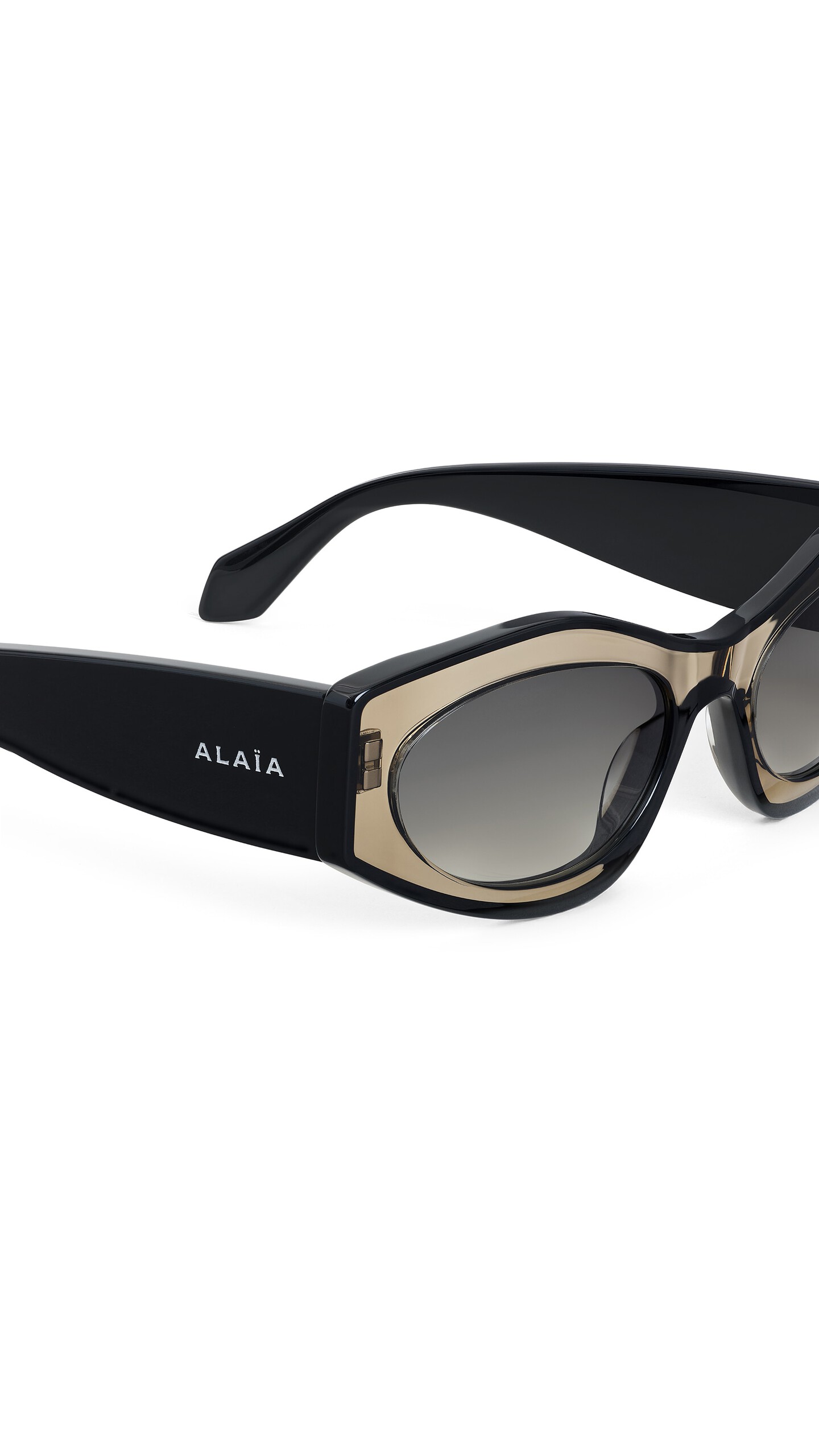 DAM_BGRD_0009 image number 2