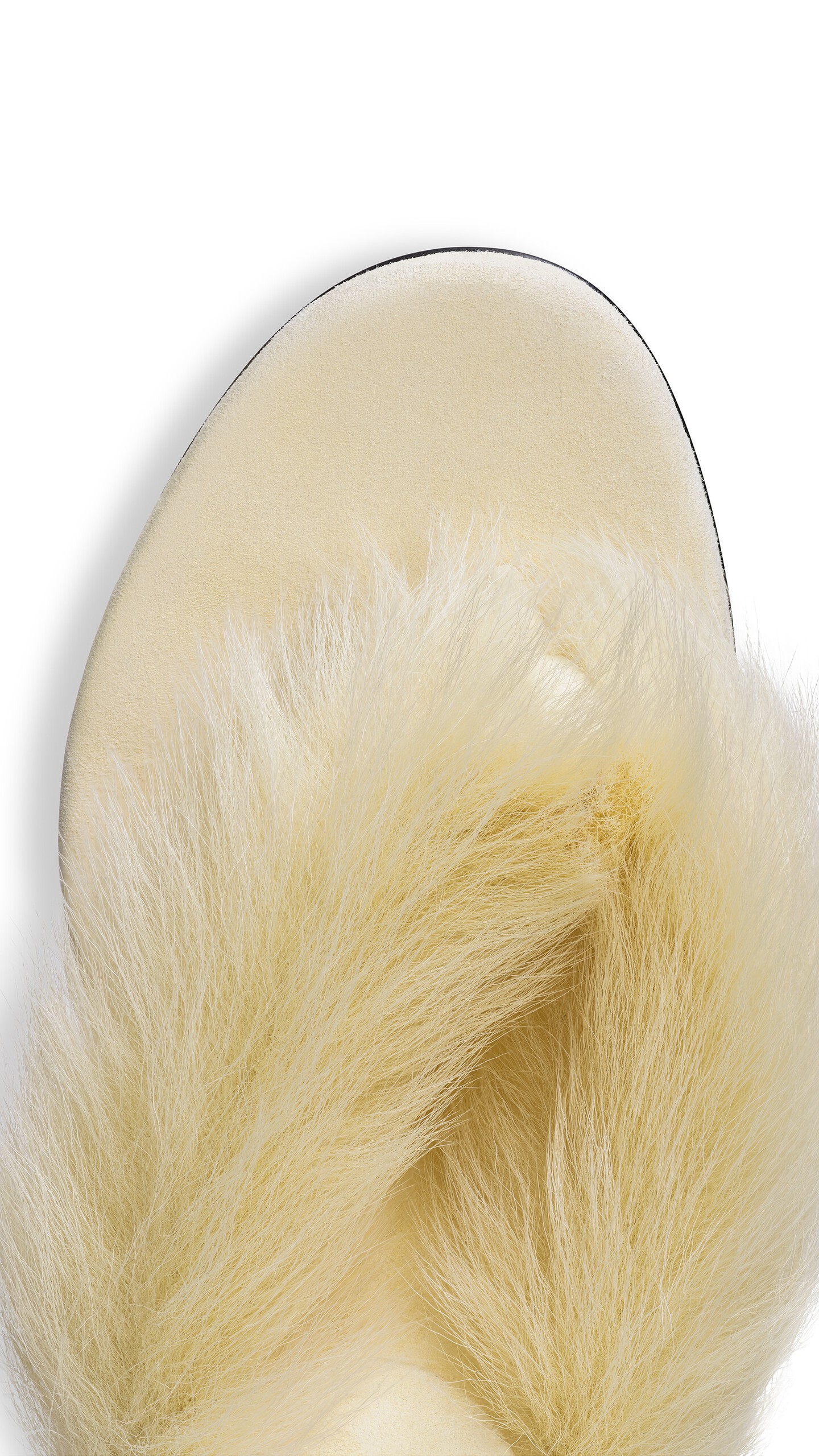 DAM_BGRD_0009 image number 3