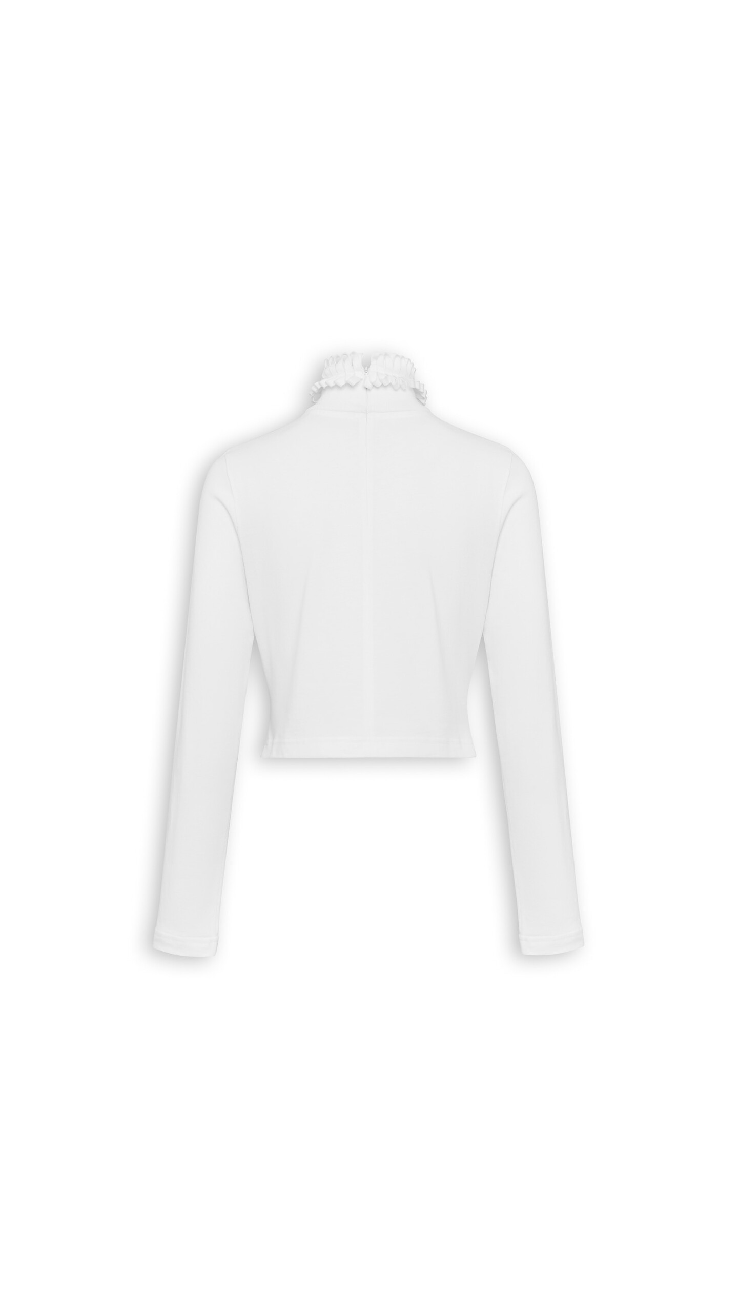 DAM_BGRD_0009 image number 3