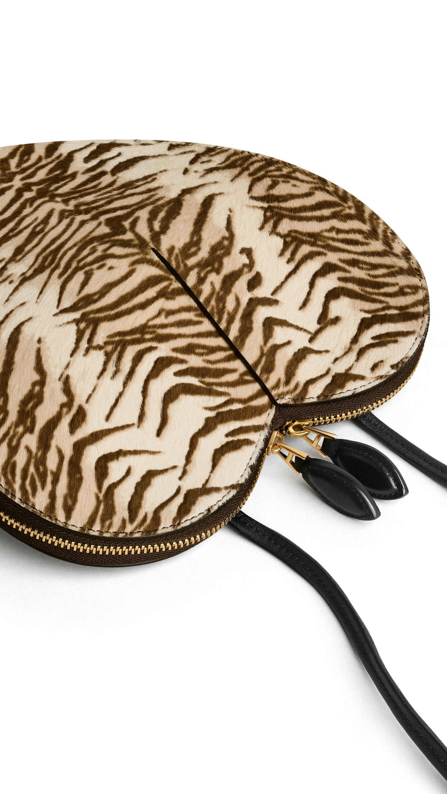 DAM_BGRD_0009 image number 2