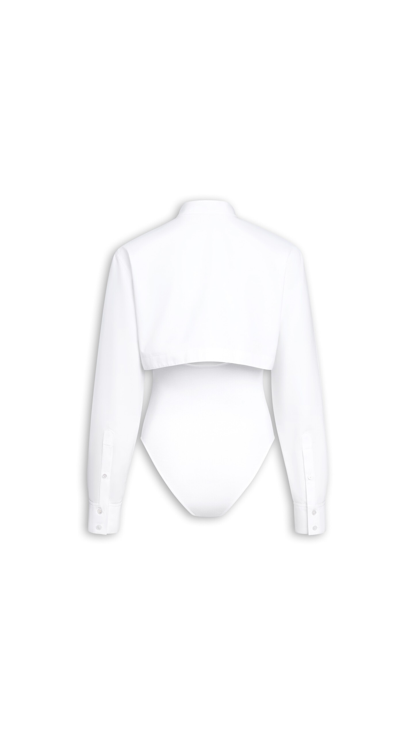 DAM_BGRD_0009 image number 4